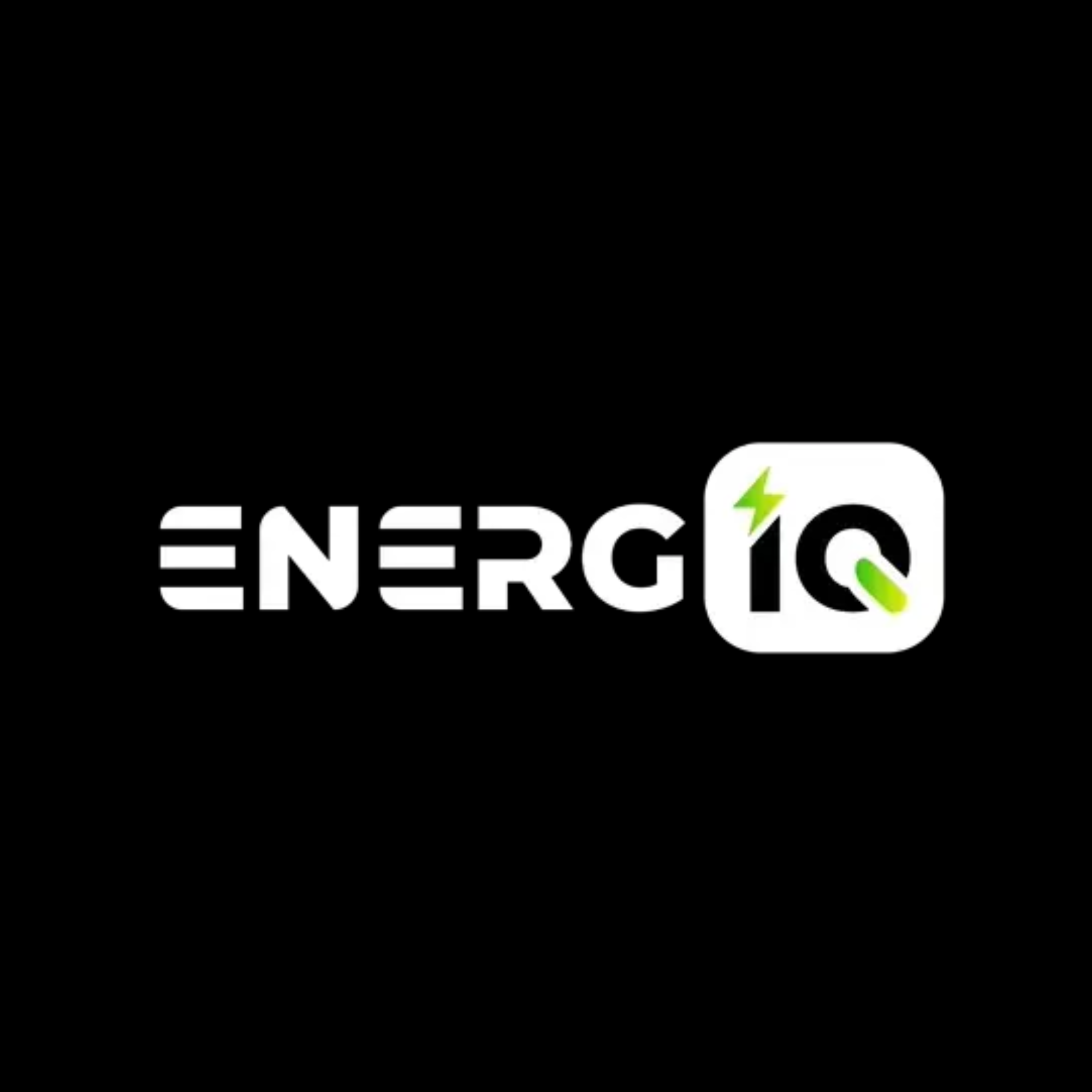 Logo ENERGIQ